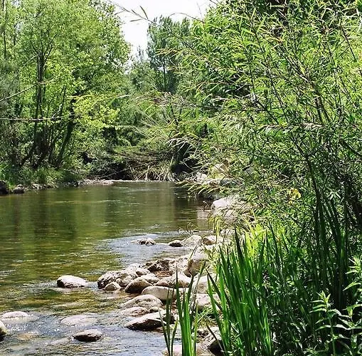 El Moli Pont de Molíns